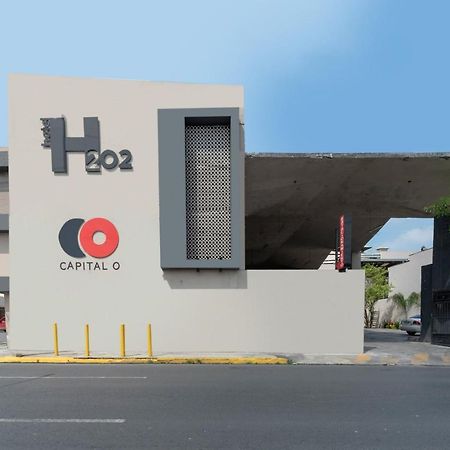 Hotel 202 Monterrey Dış mekan fotoğraf