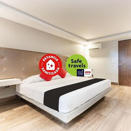 Hotel 202 Monterrey Dış mekan fotoğraf