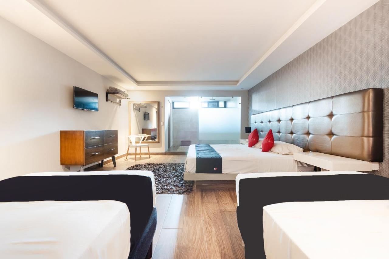 Hotel 202 Monterrey Dış mekan fotoğraf