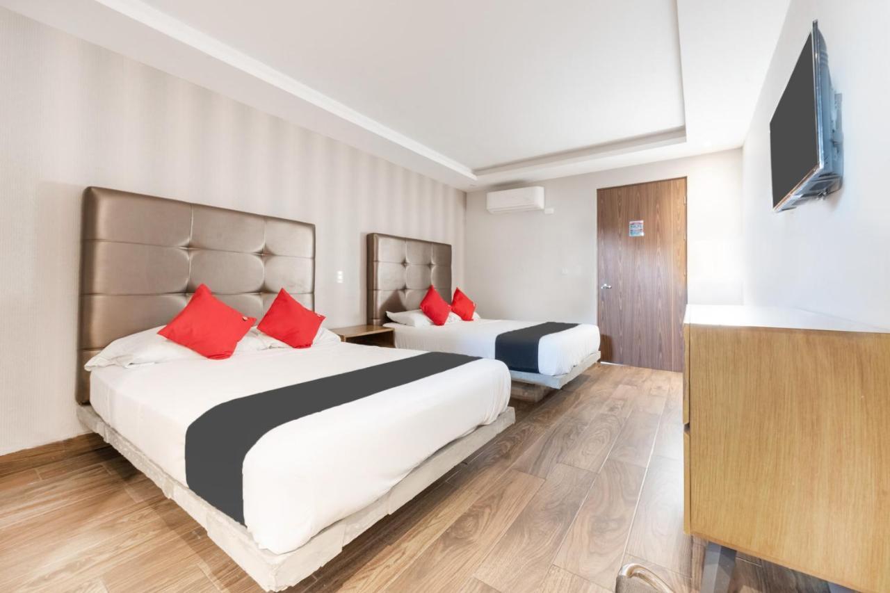 Hotel 202 Monterrey Dış mekan fotoğraf