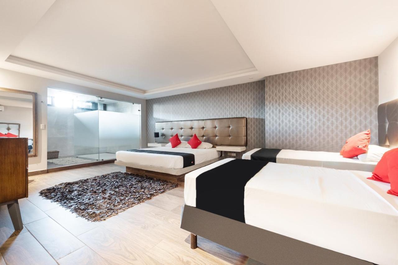 Hotel 202 Monterrey Dış mekan fotoğraf