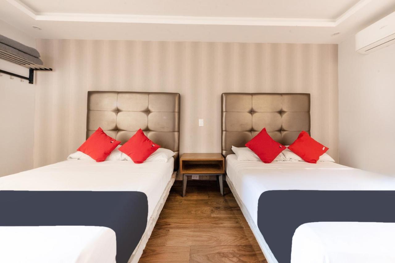 Hotel 202 Monterrey Dış mekan fotoğraf