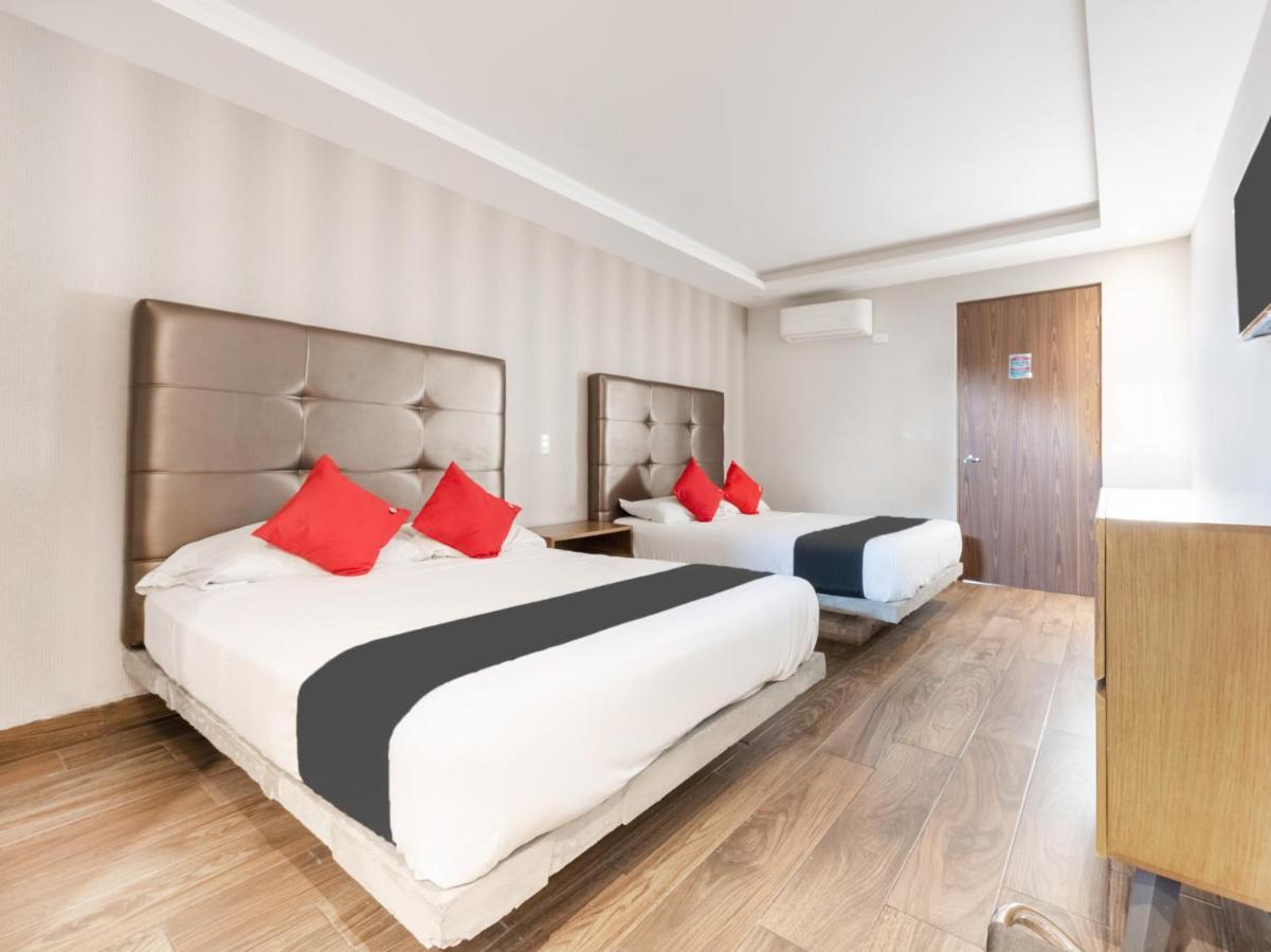 Hotel 202 Monterrey Dış mekan fotoğraf