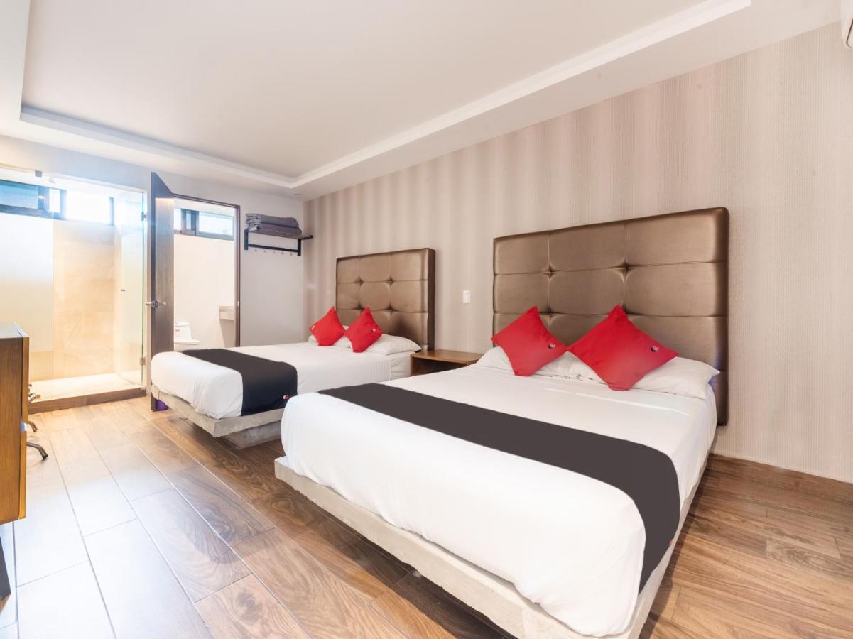 Hotel 202 Monterrey Dış mekan fotoğraf