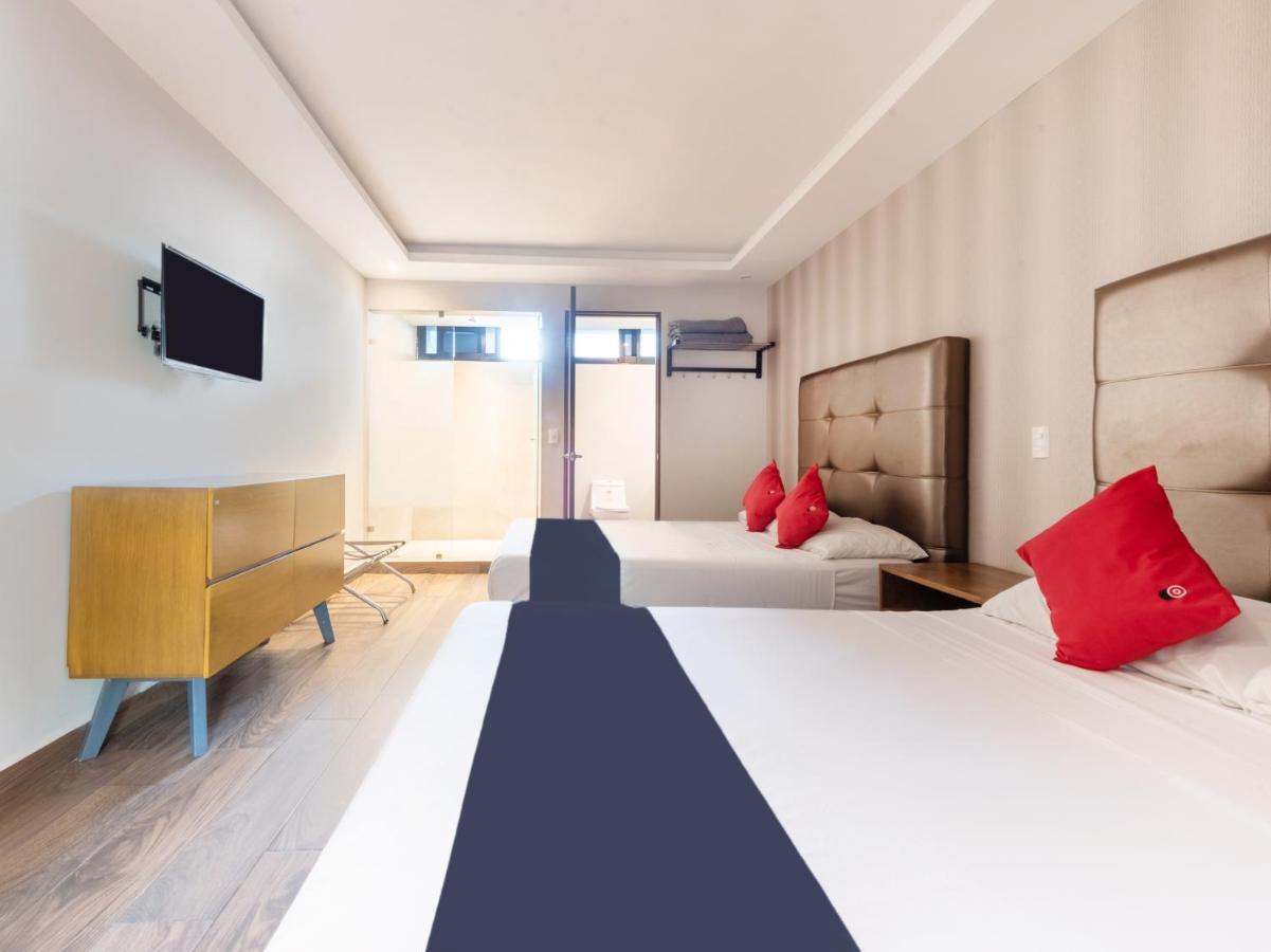 Hotel 202 Monterrey Dış mekan fotoğraf