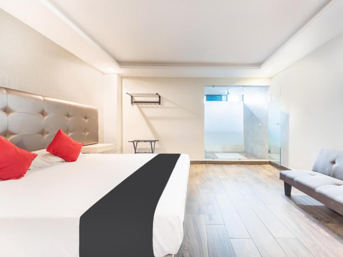 Hotel 202 Monterrey Dış mekan fotoğraf