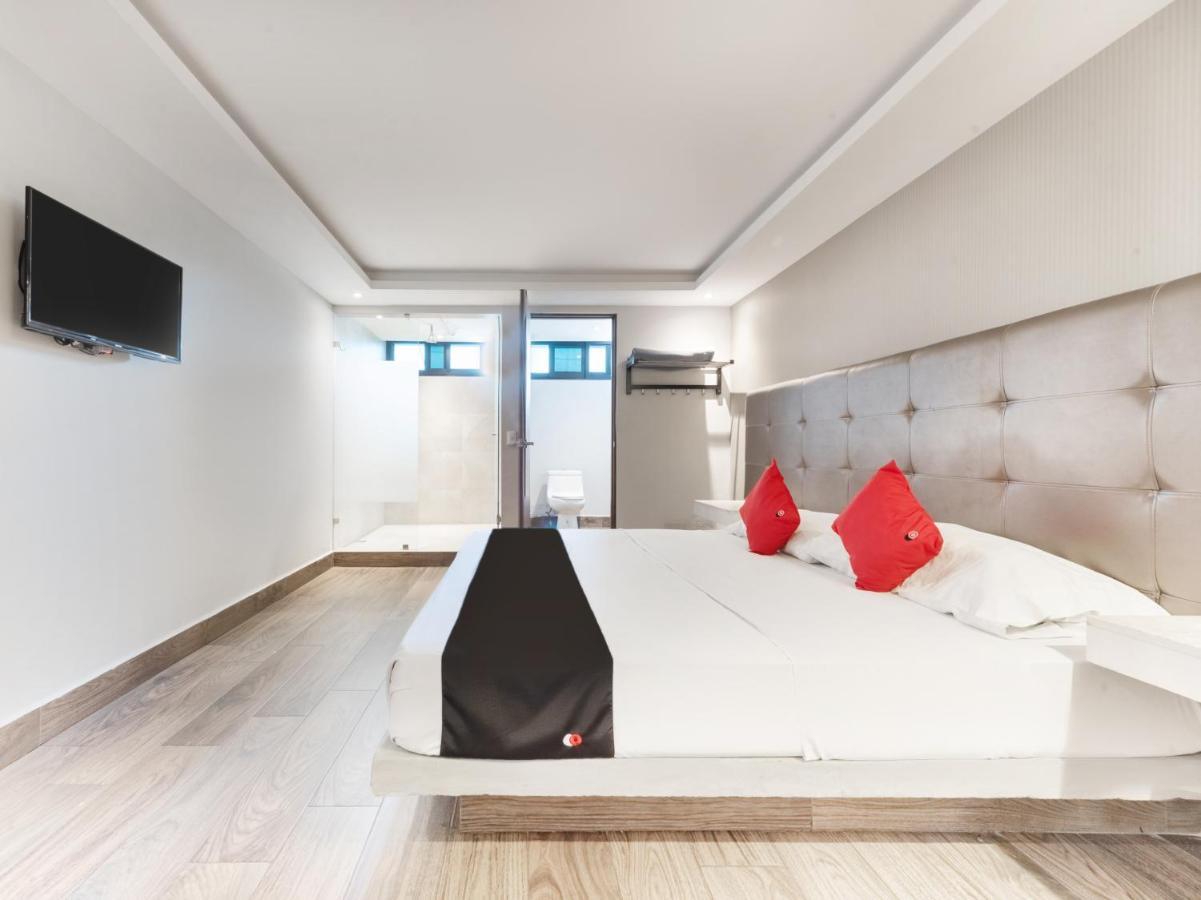 Hotel 202 Monterrey Dış mekan fotoğraf