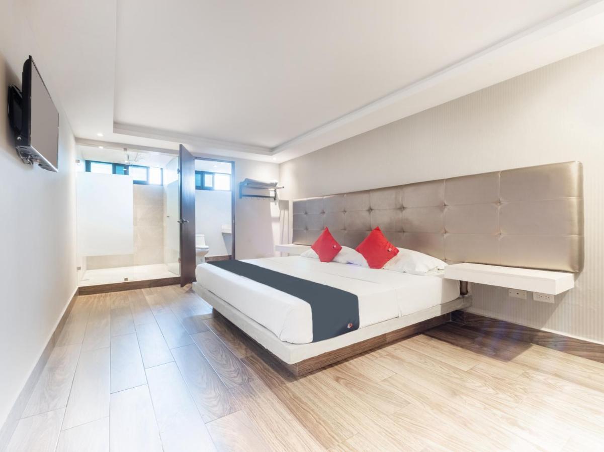 Hotel 202 Monterrey Dış mekan fotoğraf