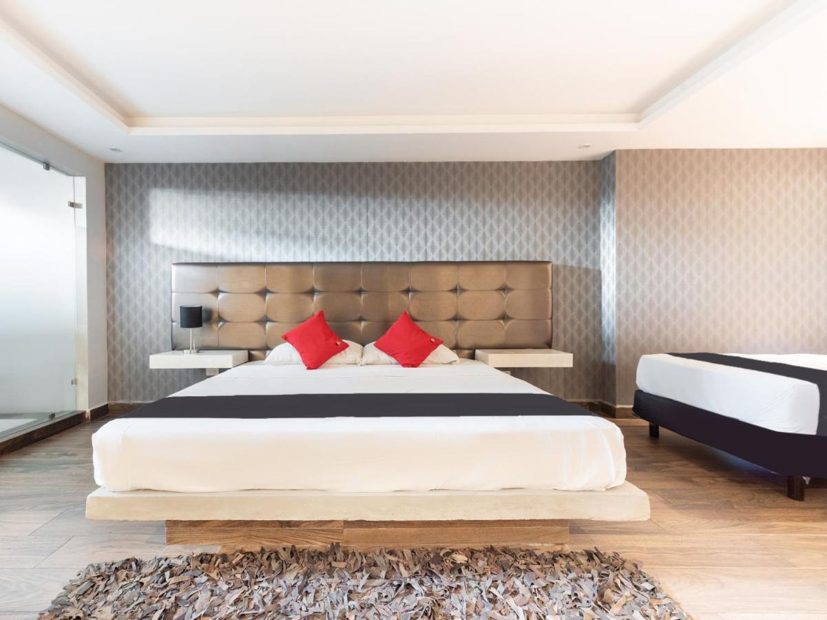 Hotel 202 Monterrey Dış mekan fotoğraf